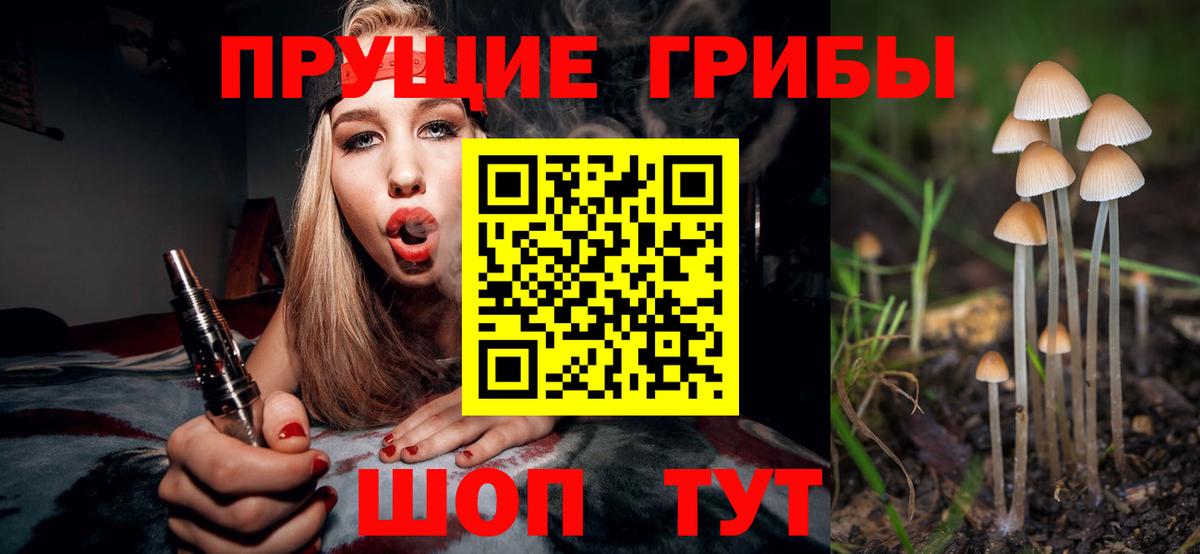 Галлюциногенные грибы прущие грибы  Вход с VPN  Нижнекамск 